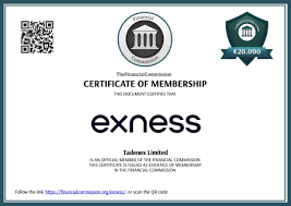 Exploring Exness Limited or Exness CY A Comprehensive Overview