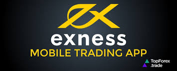 Understanding Exness IB Commission A Guide for Aspiring Affiliates