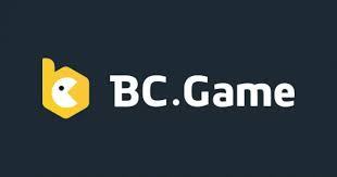 Comprehensive Overview of the BC App Innovations and Features